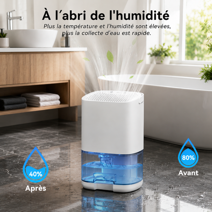 Purificateur et Déshumidificateur d'Air Portable Silencieux