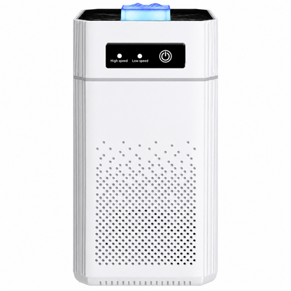 Purificateur d'Air à Ions Négatifs