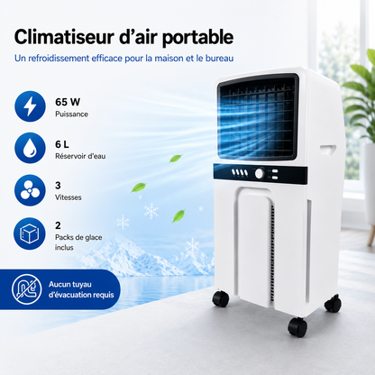 Refroidisseur d'Air portable