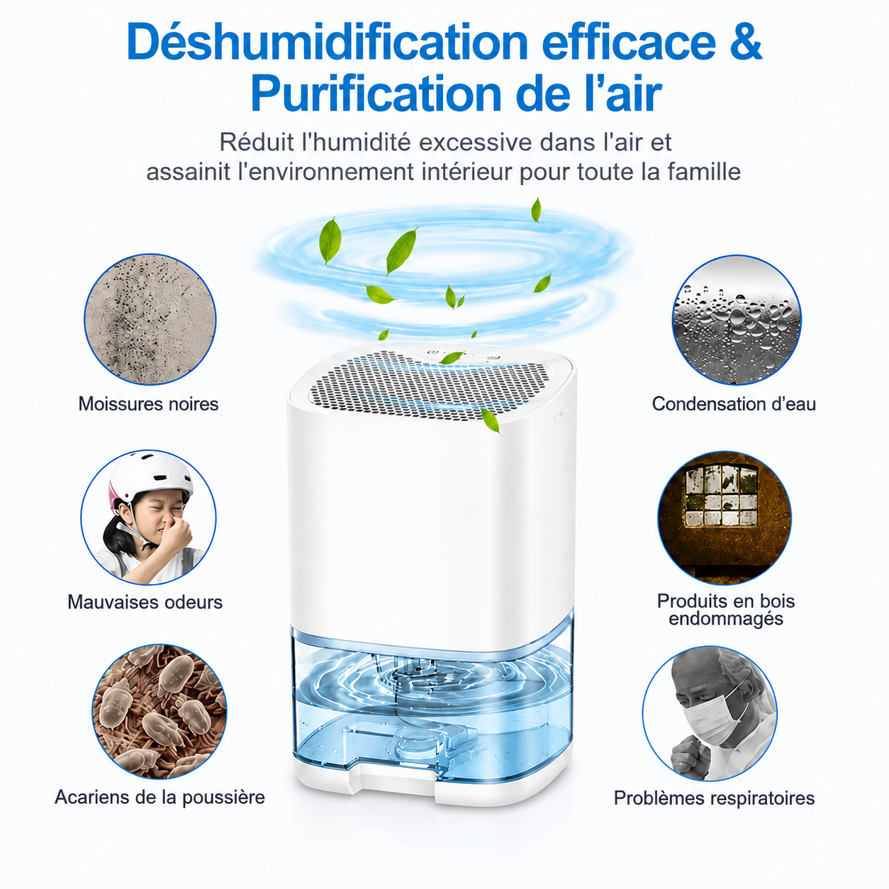 Purificateur et Déshumidificateur d'Air Portable Silencieux