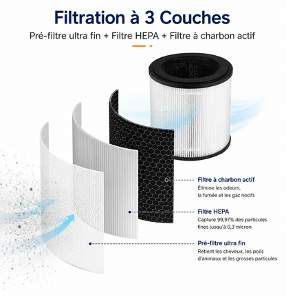 Purificateur d'Air 4-en-1